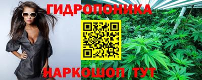 прущая мука Гай