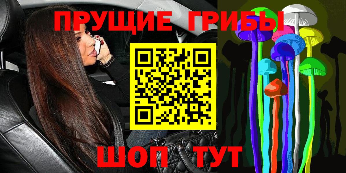 Галлюциногенные грибы Psilocybine cubensis  Вход с VPN  где продают наркотики  Нижний Новгород 