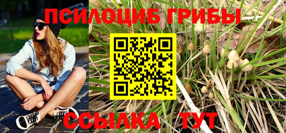 Галлюциногенные грибы Psilocybine cubensis Нижний Новгород